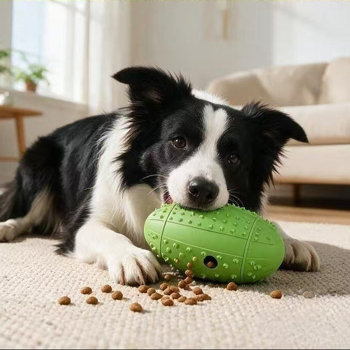 Rubber Dog Toy - Rugby Ball Treat Dispenser with Nubbed Surface, 14cm, Three Colours