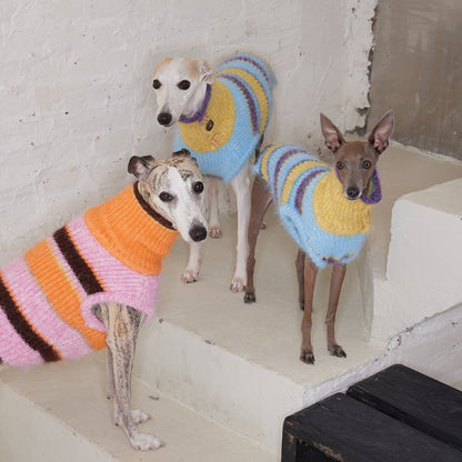 Christmas is a Rainbow Sweater for Dogs