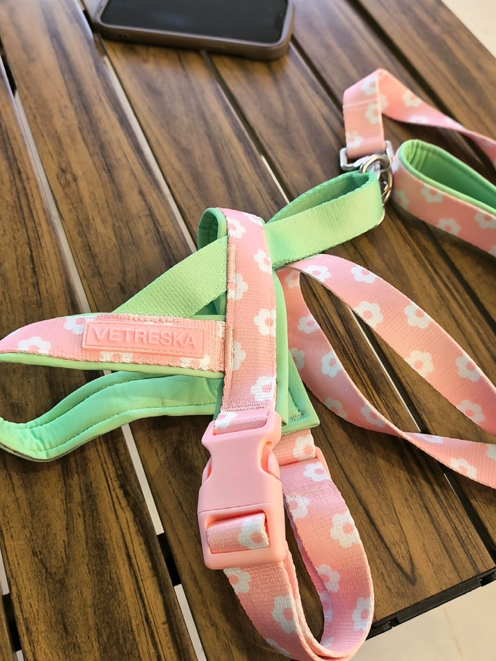 Step-In Dog Harness & Lead Set – Padded Floral Harness for Small Dogs, XS to M