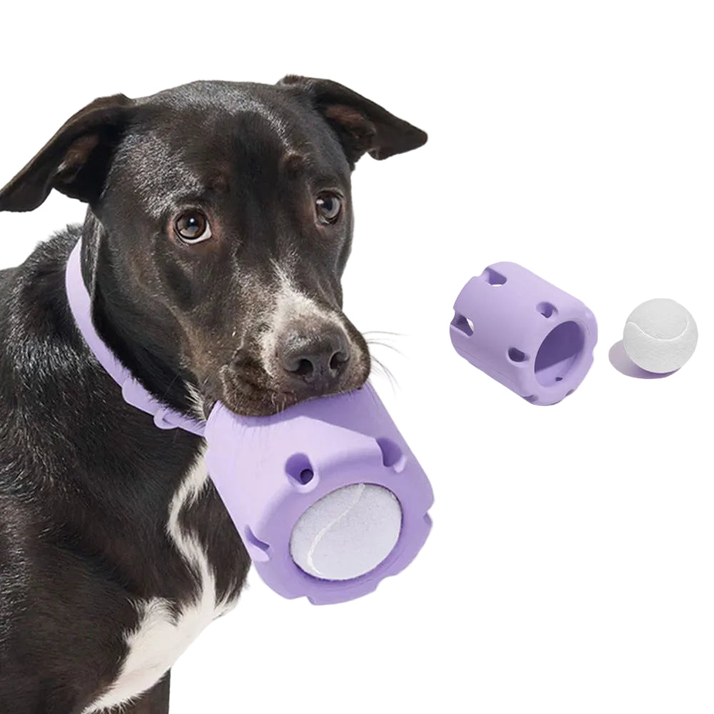 Natural Rubber Dog Chew Toys, 4 Shapes, Treat Ball and Rope Tug
