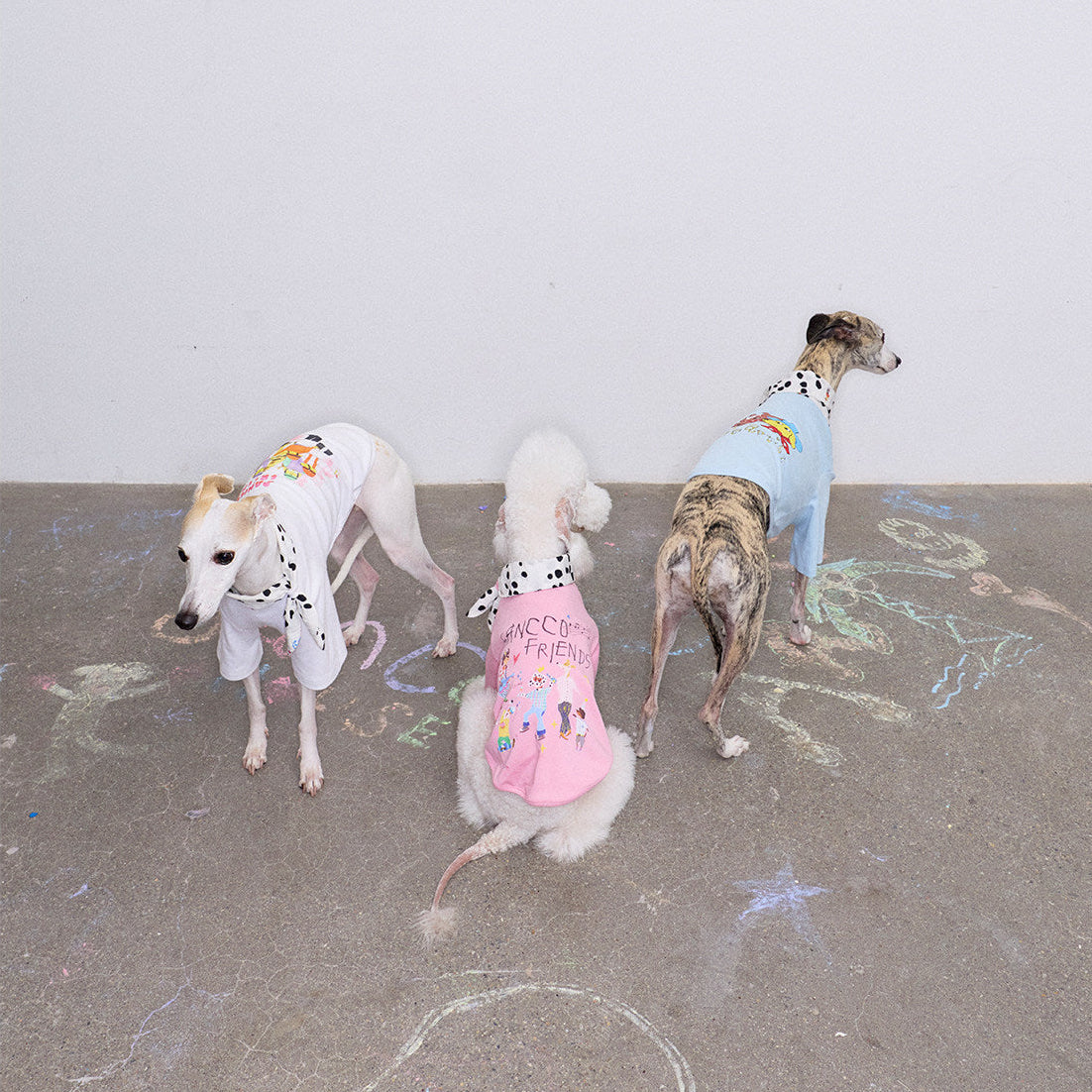 Doodle Print Dog T-Shirt – Blue, Pink or White