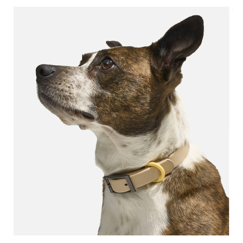 Brindle and white dog wearing the tan PVC collar with gunmetal buckle, side view