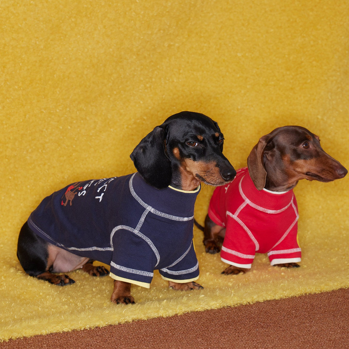 Boxing Embroidered Tee for Dogs