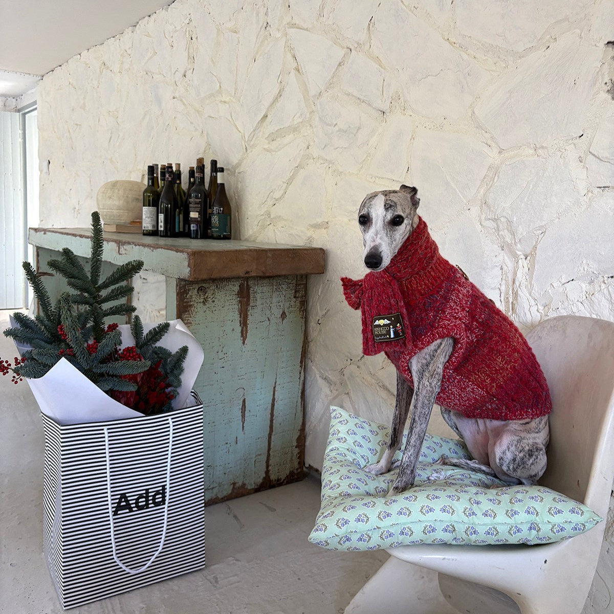 All I Want Is This Christmas Pup Sweater for Dogs