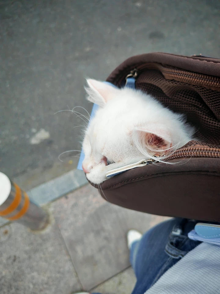 Suede Pet Tote Shoulder Bag – Stylish Dog and Cat Carrier in 3 Sizes for Small Dogs up to 4 kg and Cats up to 6 kg
