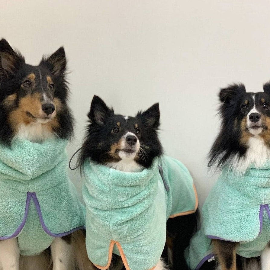 Dinosaur Dog Bathrobe and Mitt Set - Hooded Drying Robe with Spines, S to 6XL for 3 to 35kg