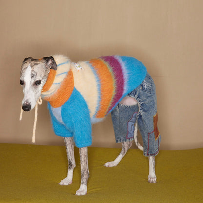 Snowday Candy-Stripe Knit for Dogs