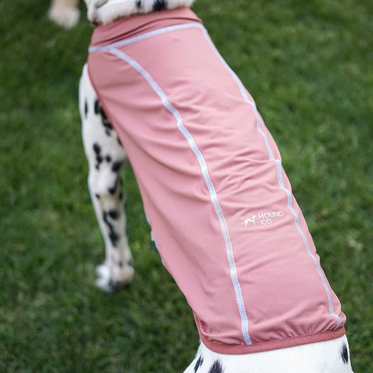 Summit Breeze Dog Top – Pink or Turquoise