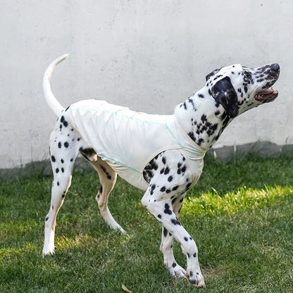 Summit Breeze Dog Top – Pink or Turquoise