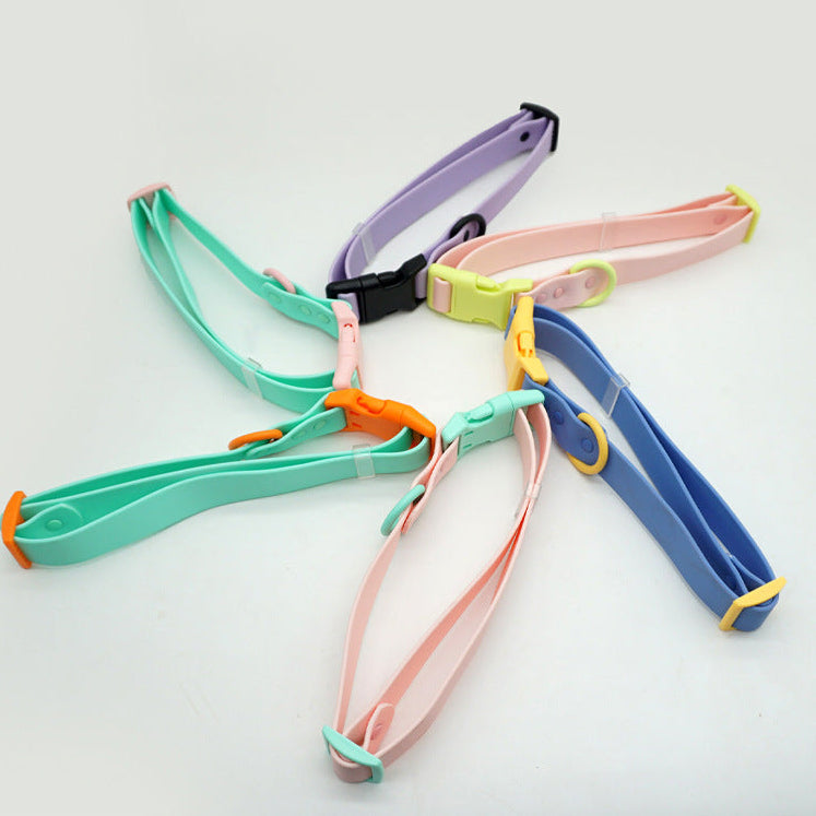 Two-Tone PVC Dog Collar, Adjustable Buckle, Small to Large