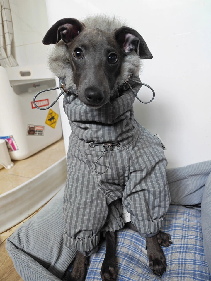 WinterCore Four-Leg Dog Jacket – Grey, White or Navy