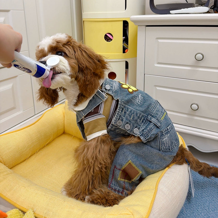 Denim Dog Overalls with Paw Patch – Blue, Sizes 1–5
