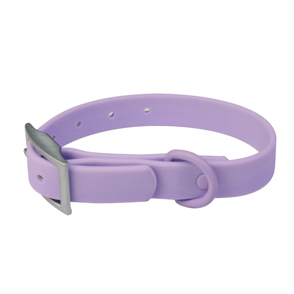 Wipe-Clean Dog Collar in Purple
