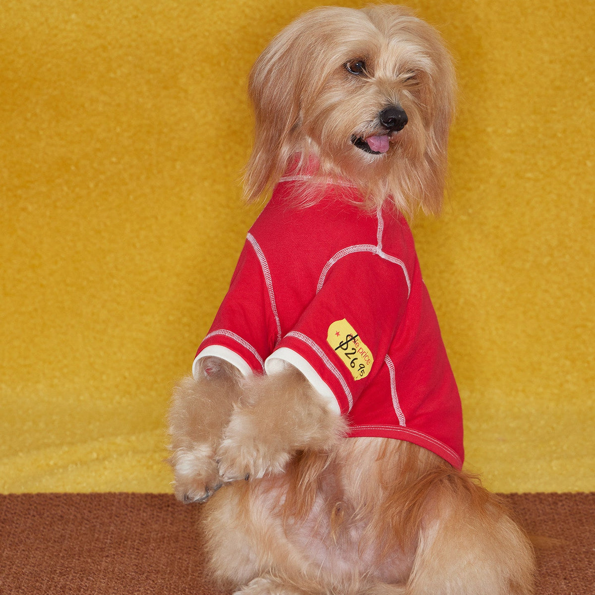 Boxing Embroidered Tee for Dogs