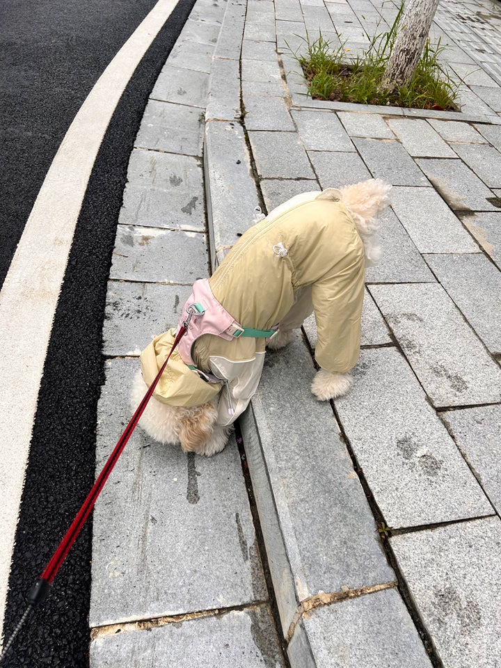 Lightweight Four-Leg Dog Rain Suit – Blue or Yellow