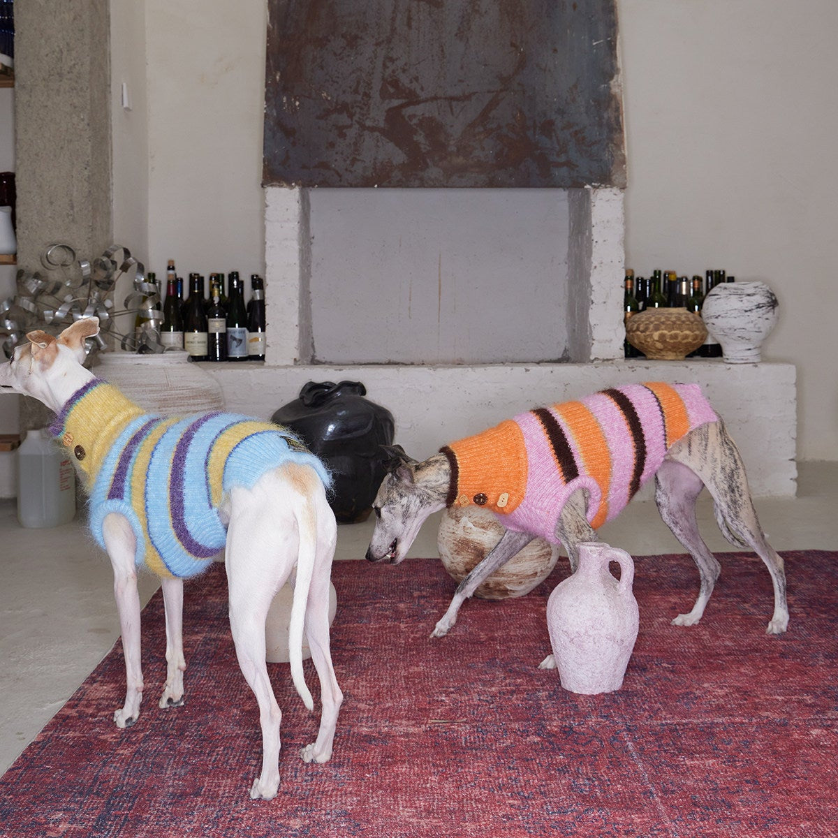Christmas is a Rainbow Sweater for Dogs