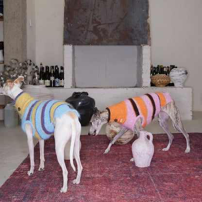 Christmas is a Rainbow Sweater for Dogs