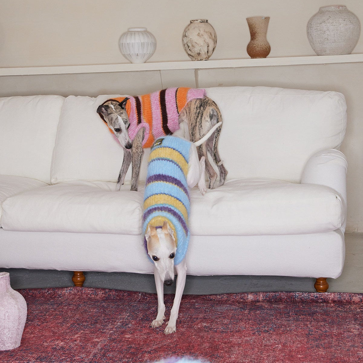 Christmas is a Rainbow Sweater for Dogs