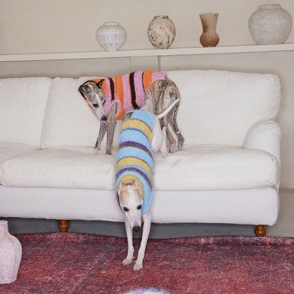 Christmas is a Rainbow Sweater for Dogs