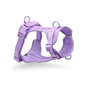 Wipe-Clean Dog Harness in Purple