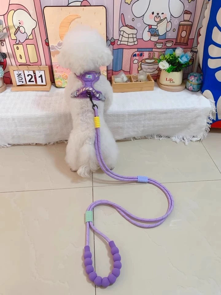Double Dog Lead for Two Dogs