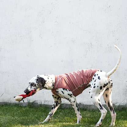 Summit Breeze Dog Top – Pink or Turquoise