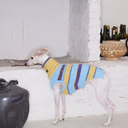 Christmas is a Rainbow Sweater for Dogs