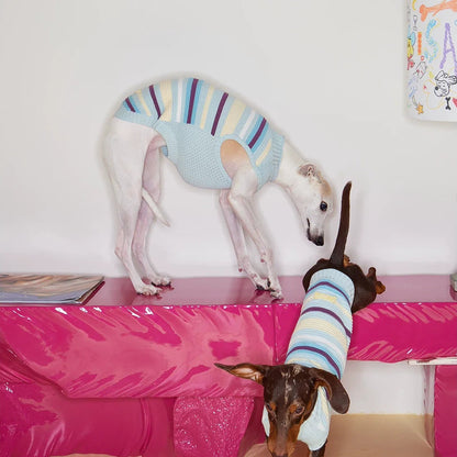 Malibu Sunset Stripe Vest gilet for dogs