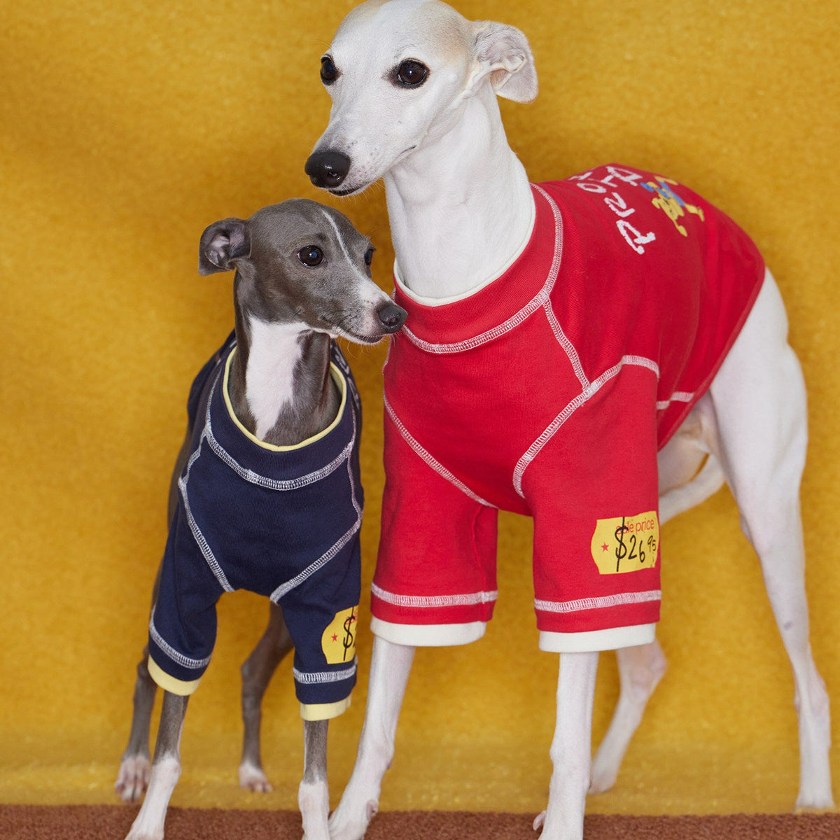 Boxing Embroidered Tee for Dogs