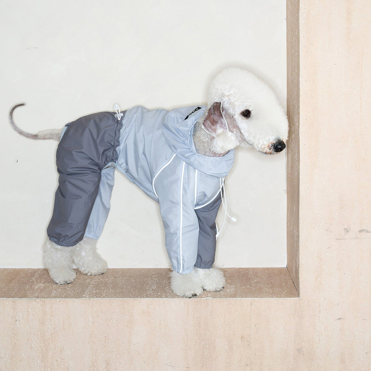 Lightweight Four-Leg Dog Rain Suit – Blue or Yellow
