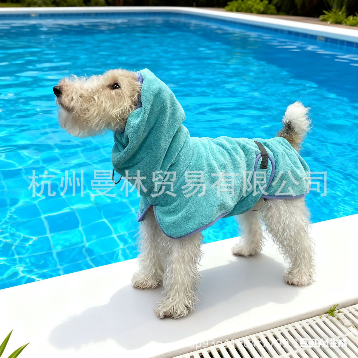Dinosaur Dog Bathrobe and Mitt Set - Hooded Drying Robe with Spines, S to 6XL for 3 to 35kg
