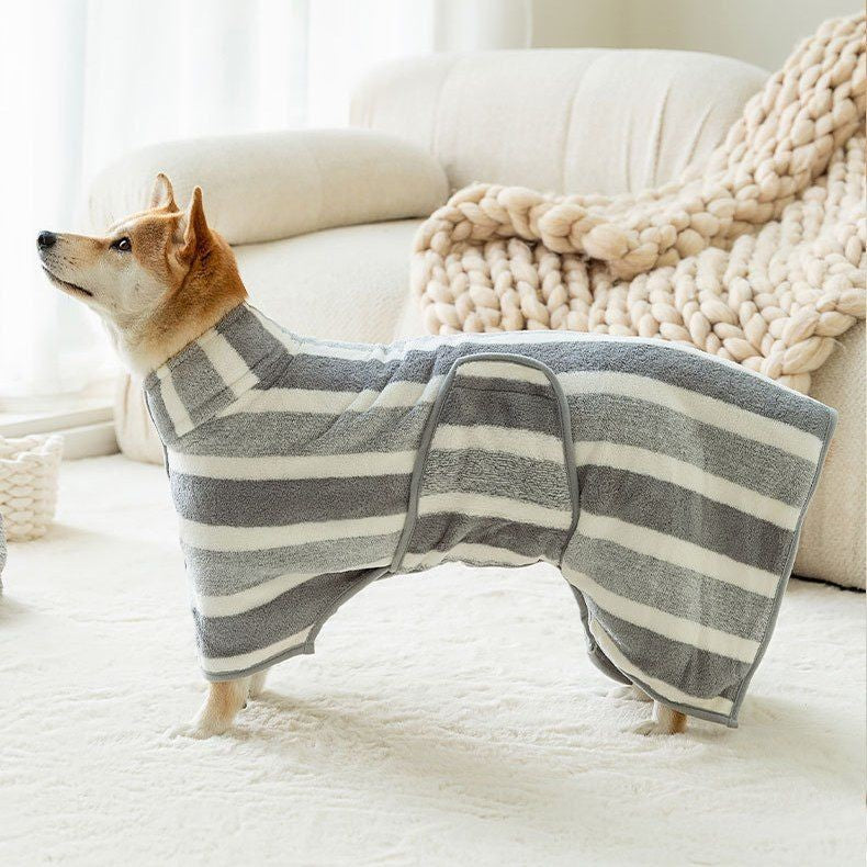 Shiba inu standing in the grey striped full body dog drying robe, all four legs covered