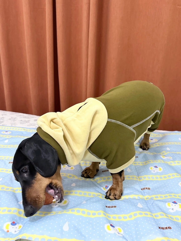 Ginger Chestnut Four-Leg Dog Hoodie – Brown and Cream