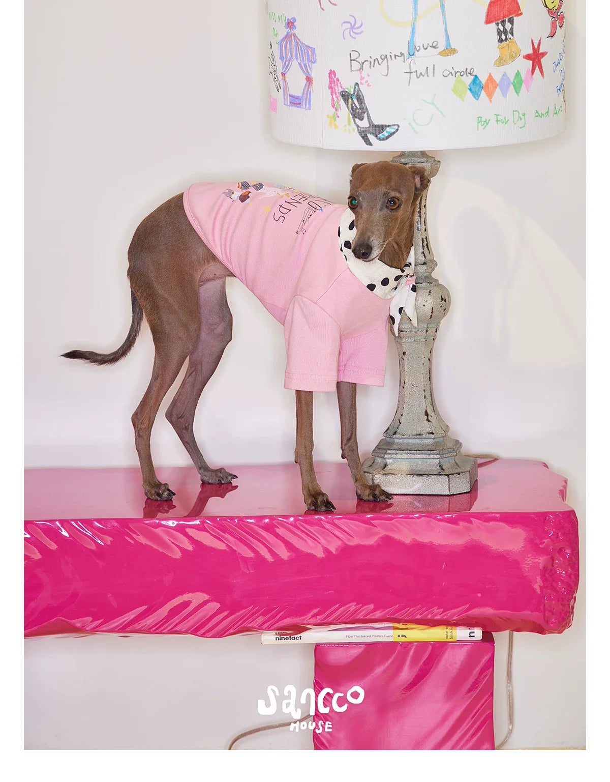 Doodle Scarf Bow-Tie Tee t-shirt for dogs