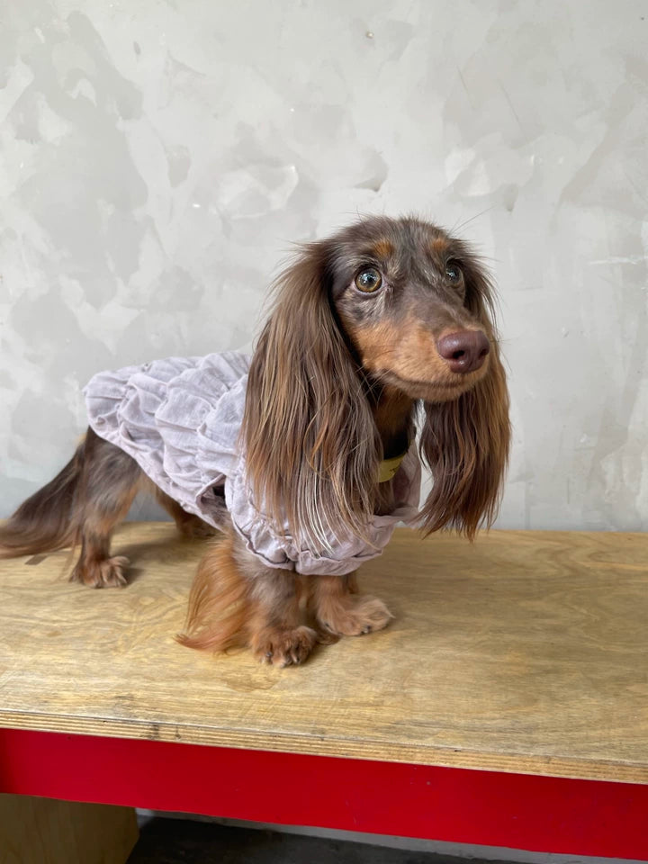 Ruffle Dog Vest – Lavender Mousse, Beige or Purple