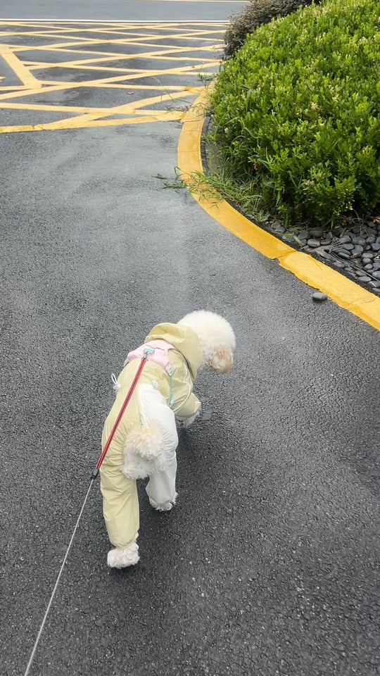 Lightweight Four-Leg Dog Rain Suit – Blue or Yellow
