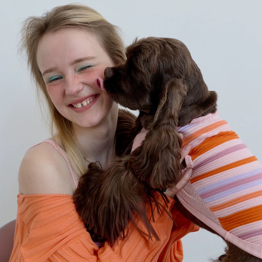 Malibu Sunset Stripe Vest gilet for dogs