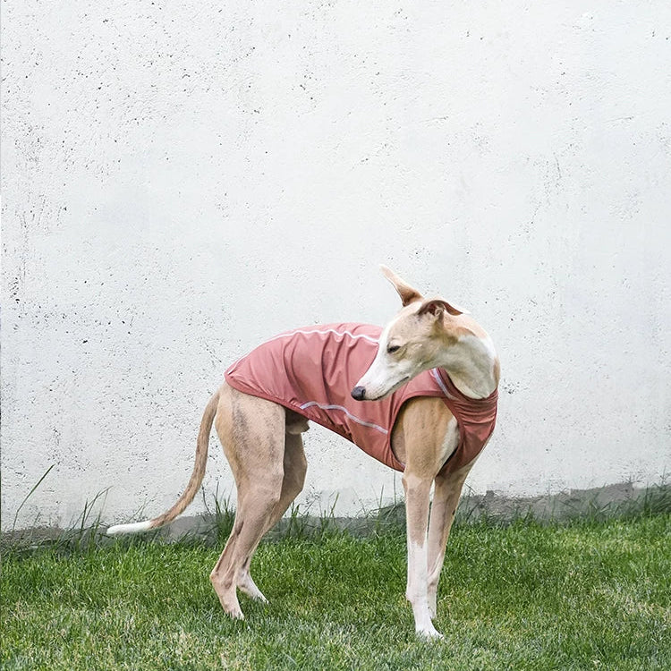 Summit Breeze Dog Top – Pink or Turquoise