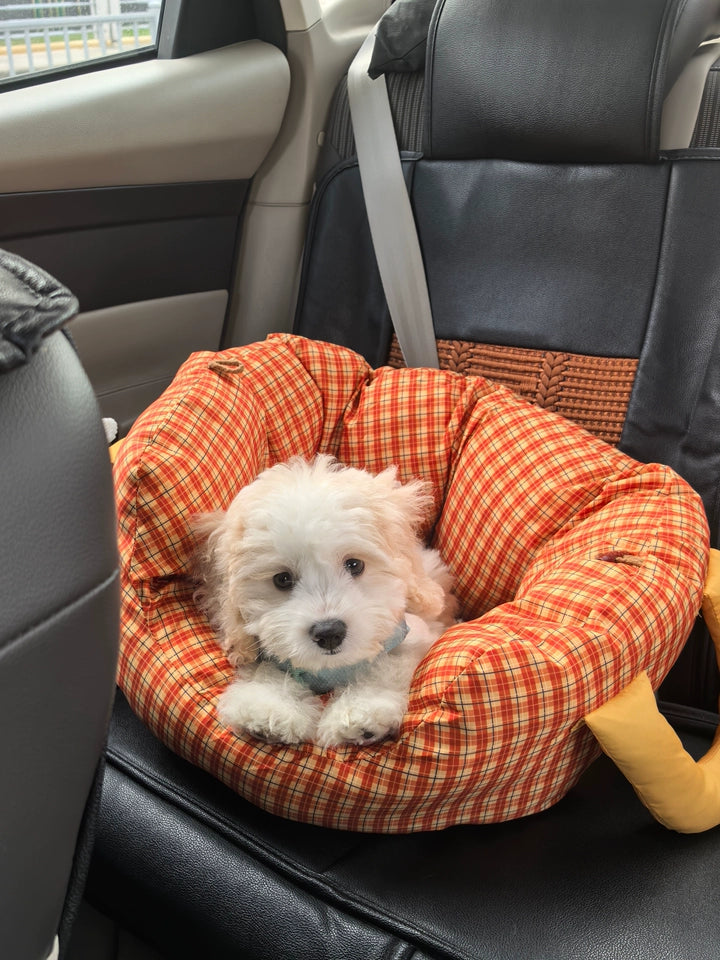 Handheld Pet Car Seat Sofa Bed – Portable Dog and Cat Car Bed with Carry Handles, Blue or Yellow