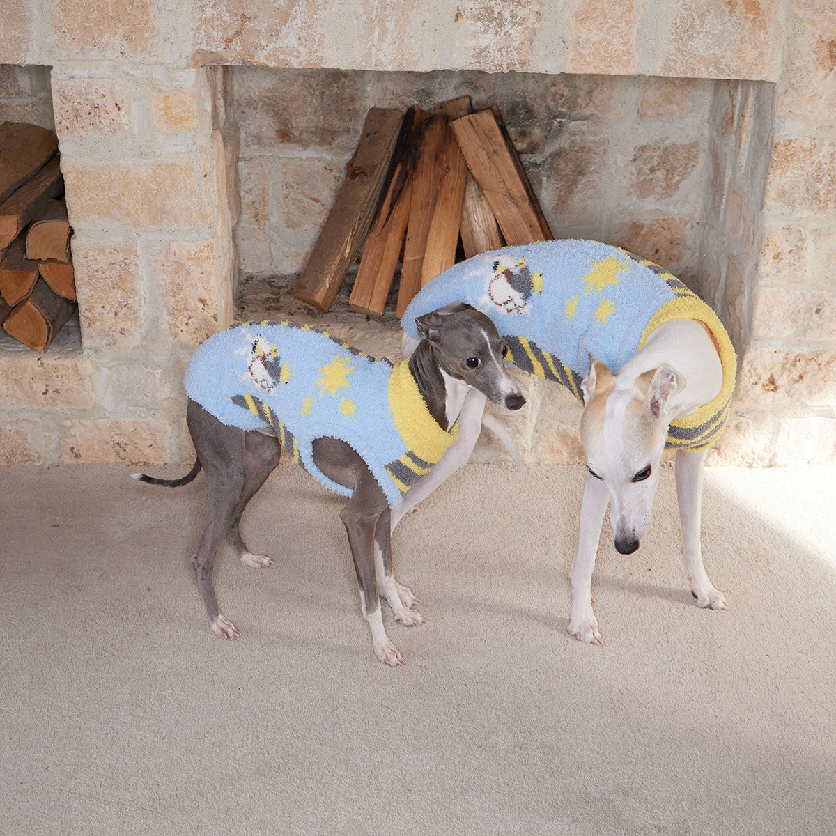 SnuggleStripe Cosy Half-Wrap Sweater for Dogs