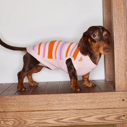 Malibu Sunset Stripe Vest gilet for dogs