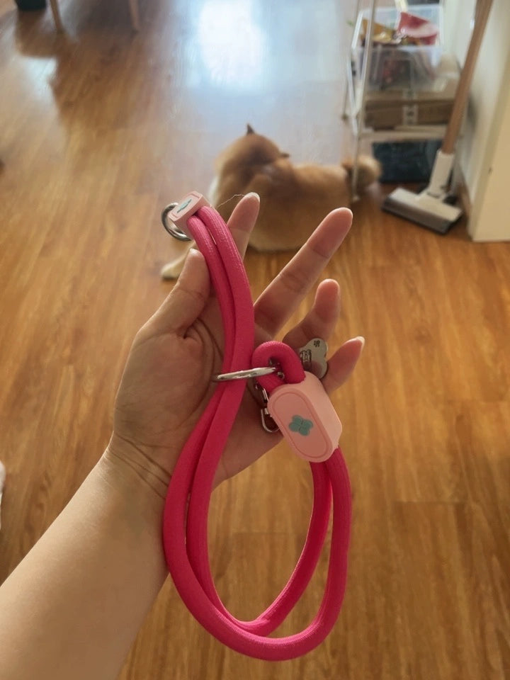 Slip Collar Set – Nylon Slip Collar with Matching Lead & Harness Options