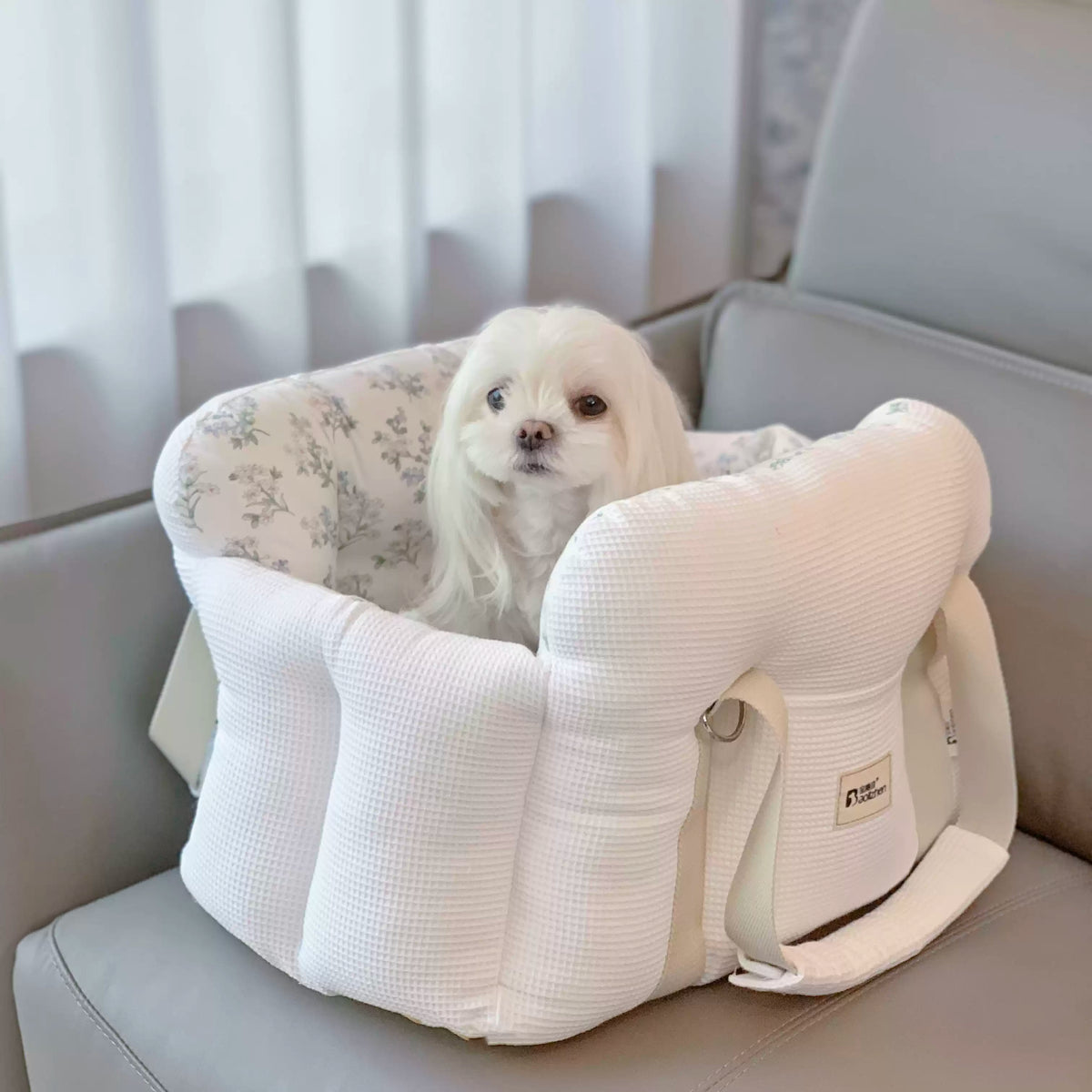 Padded Pet Car Seat Bed – Portable Dog and Cat Bed with Handles for Small Pets up to 6.5 kg, 6 Prints
