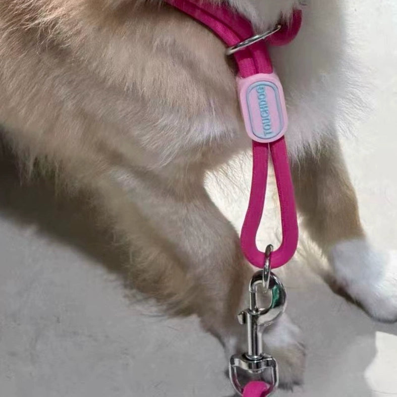 Slip Collar Set – Nylon Slip Collar with Matching Lead & Harness Options