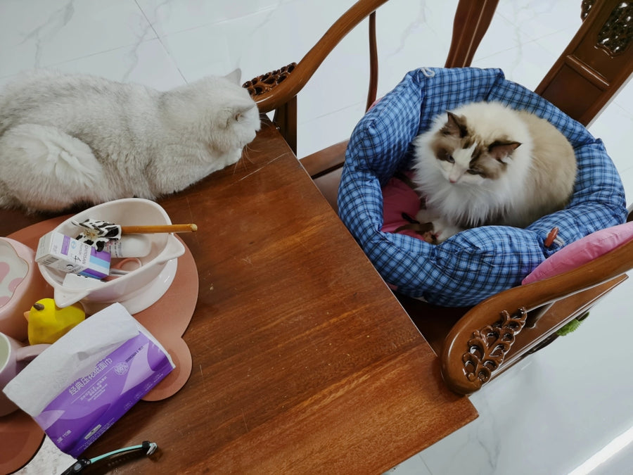 Handheld Pet Car Seat Sofa Bed – Portable Dog and Cat Car Bed with Carry Handles, Blue or Yellow