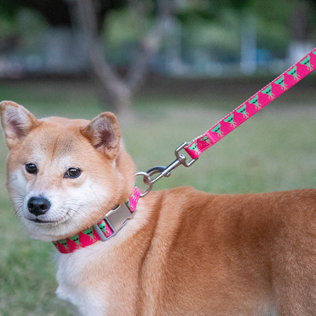 Printed Nylon Dog Collar - Adjustable, Quick-Release Buckle, Six Patterns, Sizes XS to L
