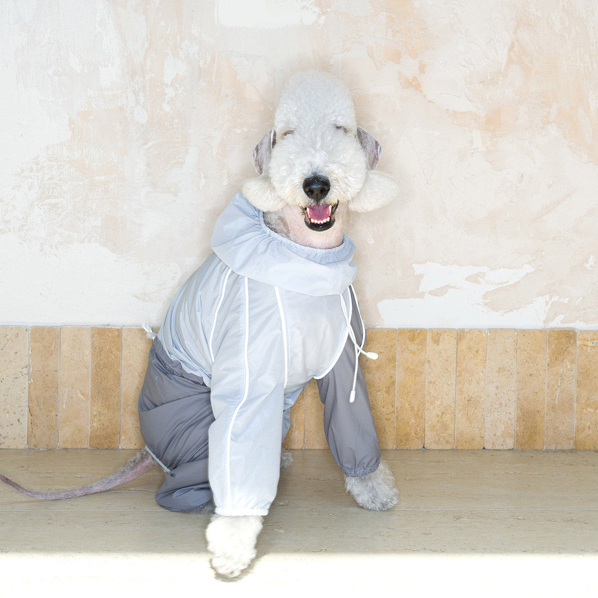 Lightweight Four-Leg Dog Rain Suit – Blue or Yellow