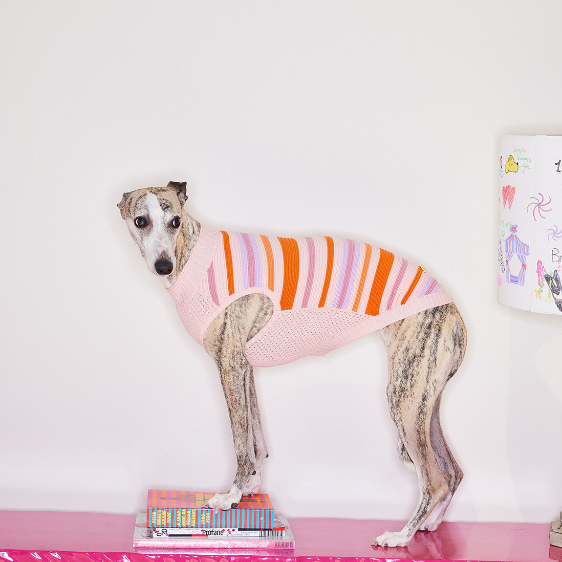 Striped Knitted Dog Vest – Malibu Sunset, Pink or Blue