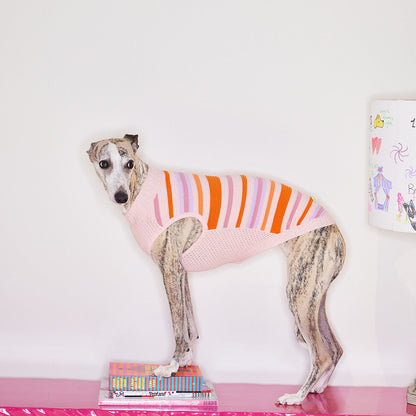 Striped Knitted Dog Vest – Malibu Sunset, Pink or Blue