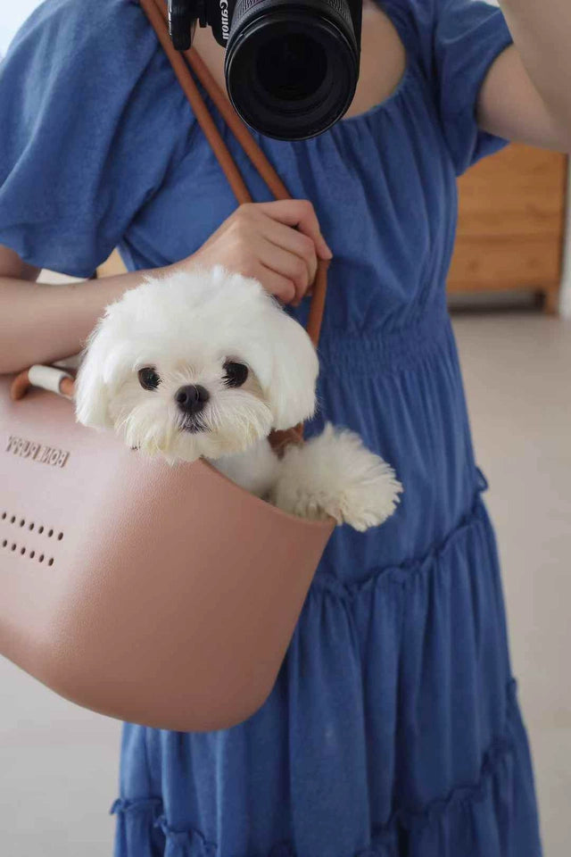 Breathable Pet Carrier Bag – Handheld Dog and Cat Tote with Air Holes for Small Dogs up to 4 kg and Cats up to 6 kg